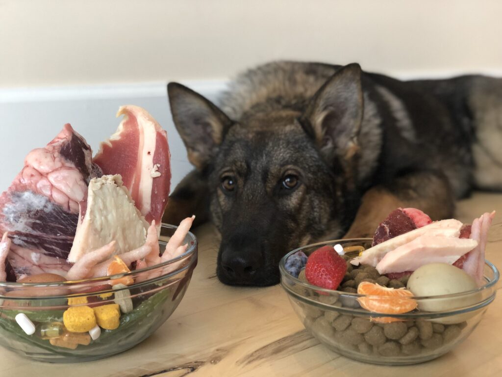 German Shepherd Dog Food